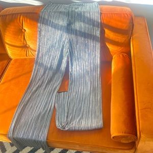 Women’s Silver Metallic Pants.